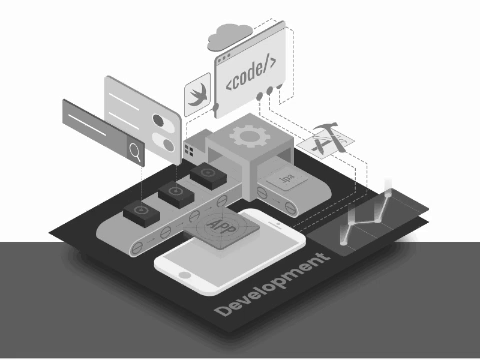 software development